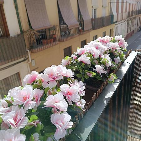 New! Luxury City Center & 2 Balconies Malaga Exterior photo